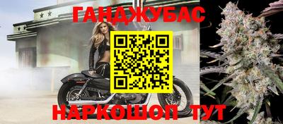 гидра Камень-на-Оби