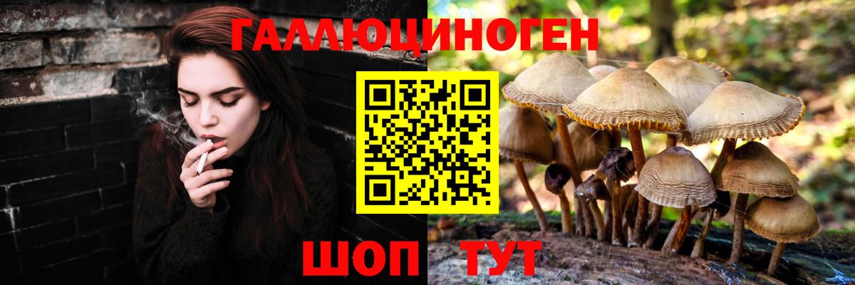 Галлюциногенные грибы прущие грибы Богородск
