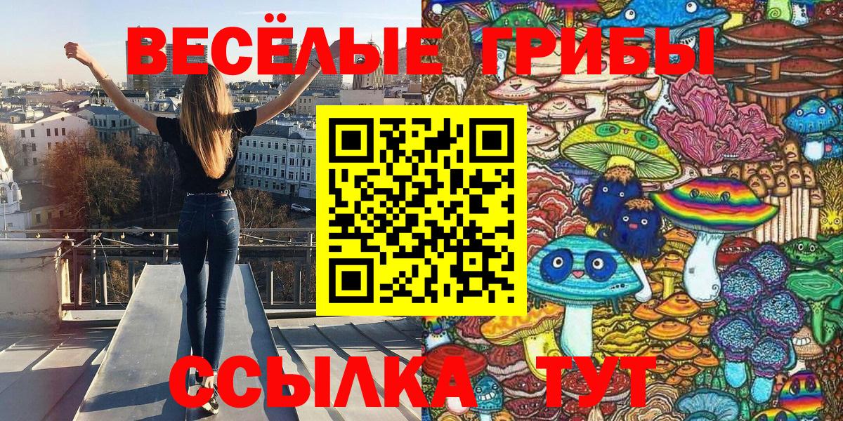 Псилоцибиновые грибы GOLDEN TEACHER  что такое   Богородск  Вход с VPN 